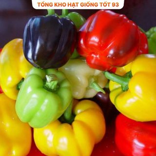 Hạt giống Ớt chuông hàng công ty Loại 1