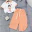 👕👖 ĐỒ BỘ BÉ GÁI – CHO BÉ THÊM ĐÁNG YÊU VÀ THOẢI MÁI 🌸 12-40kg IP599