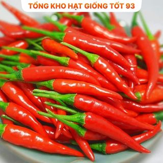 Hạt giống Ớt hiểm lai 0,1gram năng suất cao -hàng công ty Loại 1