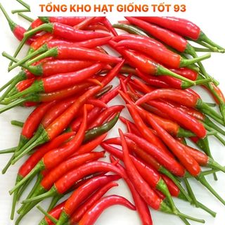 Hạt giống Ớt hiểm lai 0,1gram năng suất cao -hàng công ty Loại 1