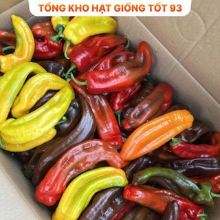 Hạt giống ớt ngọt, ớt trái cây quả dài khổng lồ - hàng công ty loại 1