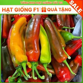 Hạt giống ớt ngọt, ớt trái cây quả dài khổng lồ - hàng công ty loại 1