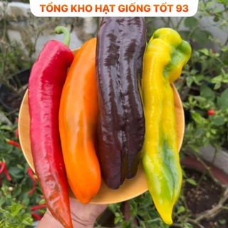 Hạt giống ớt ngọt, ớt trái cây quả dài khổng lồ - hàng công ty loại 1