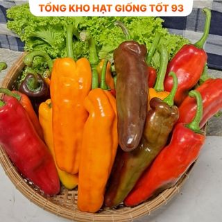Hạt giống ớt ngọt, ớt trái cây quả dài khổng lồ - hàng công ty loại 1