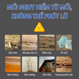 🐜 20 năm phòng và diệt mối chuyên nghiệ🐜BAO Bình xịt diệt mối Chai xịt diệt mối Diệt mối tận gốc Diệt côn trùng