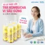 Lốc 6 lon trà Azaana KOMBUCHA vị Sấu Gừng (330ml/lon) Nước Trà lên men tự nhiên