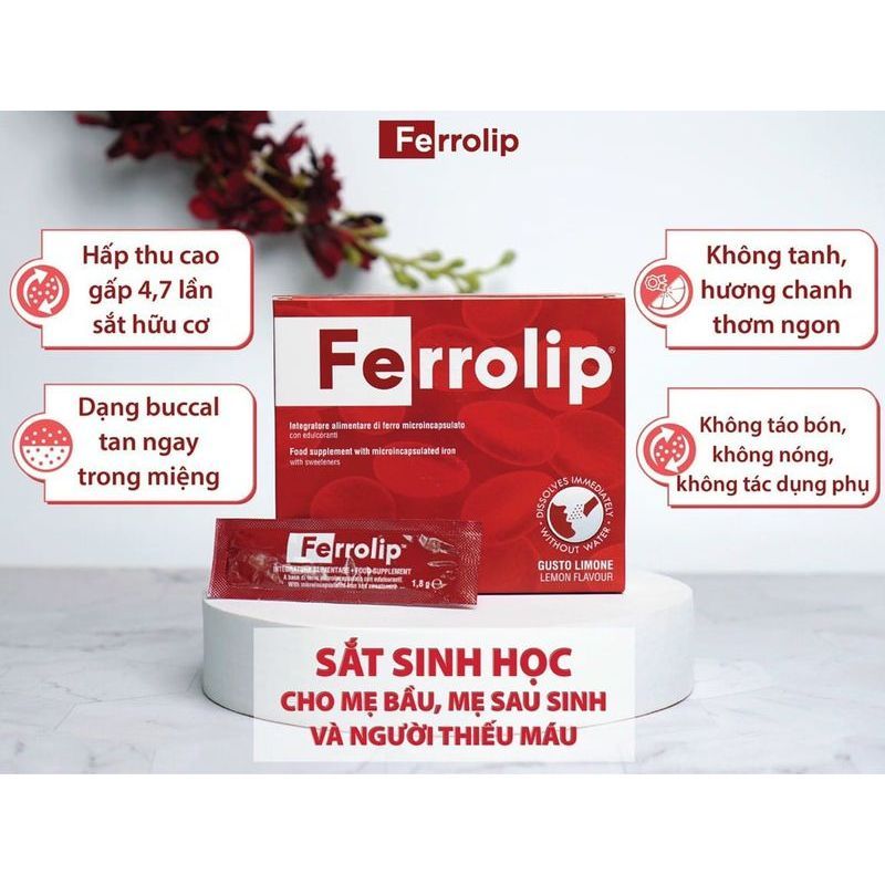 Combo 6 Ferrolip tặng máy xay 2L Bổ sung sắt cho cơ thể, hỗ trợ tạo hồng cầu