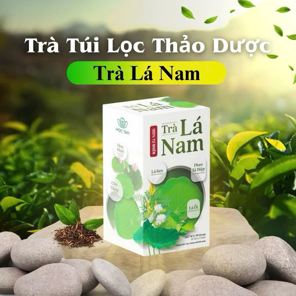 ✅ [Chính Hãng] Trà Lá Nam 6 Vị Hộp 30 Gói ✅ Trà giảm cân phan tả diệp lá ổi lá sen giữ dáng đẹp da thanh lọc cơ thể