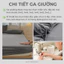 Bộ ga giường và 2 vỏ gối nằm Cotton Tici M2T BEDDING - Ga giường bo chun theo yêu cầu