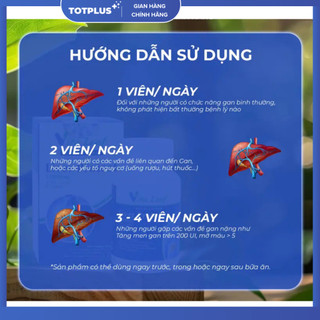 Viên Uống Thải Độc Gan Vita Leaf Liver Protect 15000Mg – Bảo Vệ Tế Bào Gan, Hỗ Trợ Giải Độc Gan