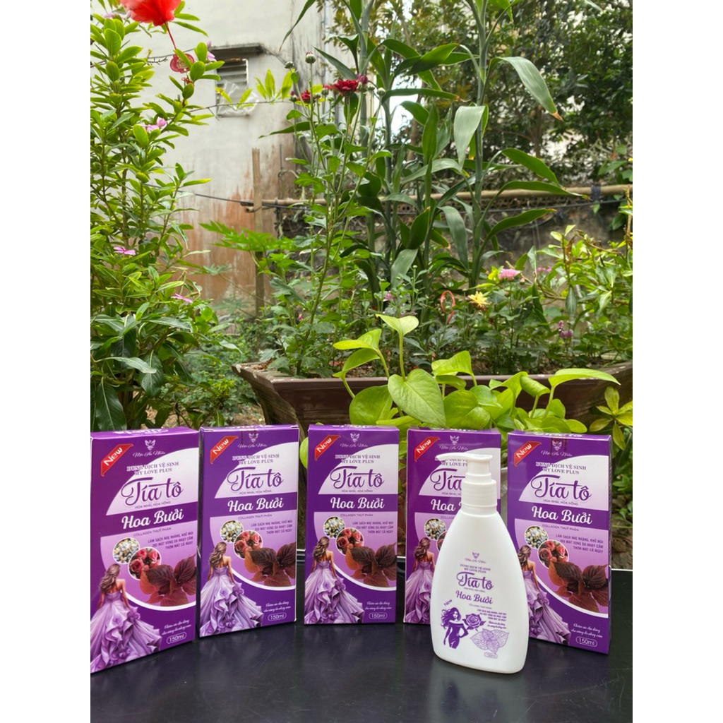 New Combo 5 chai dung dịch vệ sinh phụ nữ TÍA TÔ HOA BƯỞI chiết xuất từ thiên nhiên 150ml/1 chai ( có che tên khi mua )