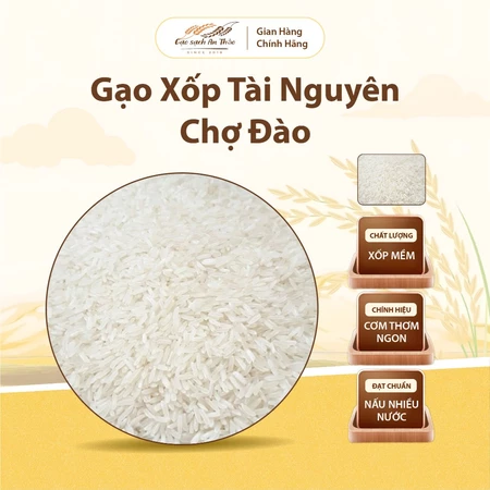 [2kg/ 5kg] Gạo xốp Tài Nguyên Chợ Đào - nở ngon, hạt trắng đẹp, cơm thơm tơi