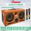 Loa karaoke xách tay Bossinon N2291K – Công suất 600W- 2 Bass 20cm - Hàng chính hãng