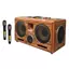 Loa karaoke xách tay Bossinon N2291K – Công suất 600W- 2 Bass 20cm - Hàng chính hãng