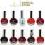 Sơn thường AH41 - Sơn Móng Tay Cao Cấp - Ngọc Thuỷ Nails