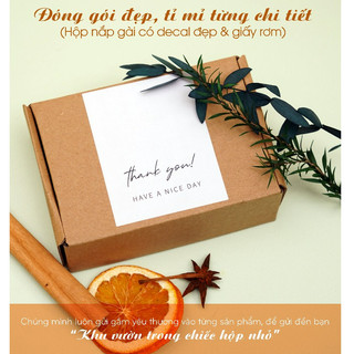 Tinh Dầu Oải Hương Lavender Nguyên chất ESKY AROMA GARDEN Ngủ Ngon, Thư Giãn 10ml 20ml