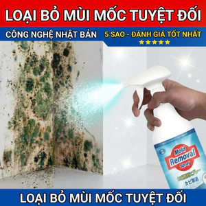 ✨Nhập khẩu Nhật Bản✨ Xịt diệt nấm mốc 510ml – Dùng cho tường & gỗ, diệt sạch nhanh chóng, an toàn và hiệu quả ✅