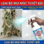 ✨Nhập khẩu Nhật Bản✨ Xịt diệt nấm mốc 510ml – Dùng cho tường & gỗ, diệt sạch nhanh chóng, an toàn và hiệu quả ✅