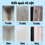 ✨Nhập khẩu Nhật Bản✨ Xịt diệt nấm mốc 510ml – Dùng cho tường & gỗ, diệt sạch nhanh chóng, an toàn và hiệu quả ✅