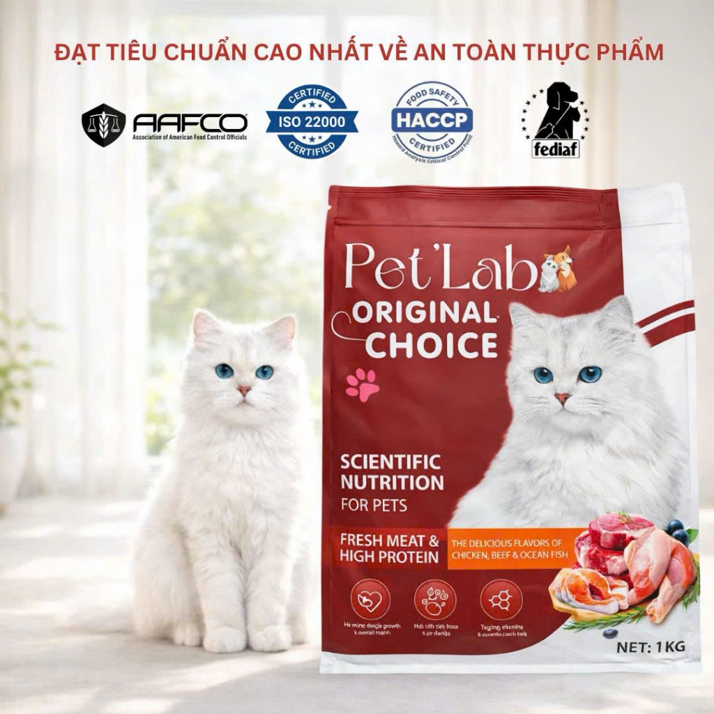 HẠT CHO MÈO PET'LAB SIÊU TOPPING ĐẠM TỐT TÚI 1KG HỖ TRỢ TIÊU HÓA, CHĂM SÓC LÔNG VÀ DA,HỖ TRỢ TIÊU BÚI LÔNG,MIỄN DỊCH