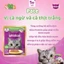 Pate Whiskas Cho Mèo Mix Vị 80g, Giàu Protein Và Vitamin, Phù Hợp Mèo Lớn Và Mèo Con