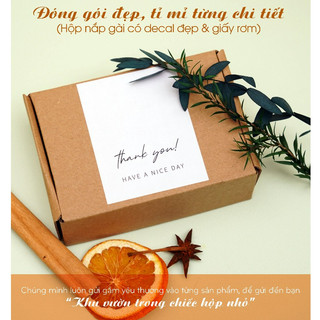 (16 Mùi) Tinh Dầu KHUẾCH TÁN ESKY AROMA GARDEN Tinh Dầu TÁN HƯƠNG Thơm Phòng Cắm Que Đá Khuếch Tán 10ml