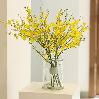 DỤNG CỤ CẮM HOA LỖ NHỰA COMBO 2 CÁI – LƯỚI CẮM HOA GIỮ FORM, GIÁ ĐỠ HOA CỐ ĐỊNH, DECOR BÌNH HOA