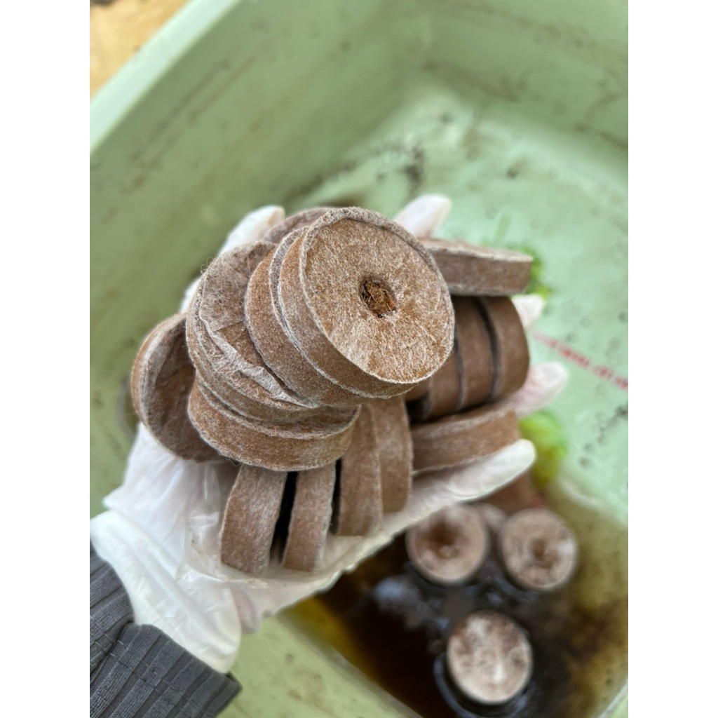 10 viên nén sơ dừa trồng cây, ươm cây
