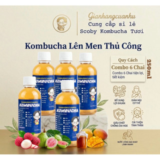 Combo-250ml Trà Lên Men Kombucha
