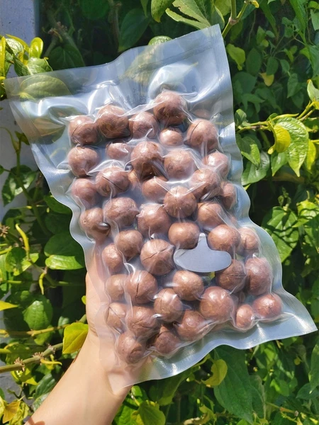 1kg Túi Quả macca sấy nứt vỏ, sấy khô - Hạt cao cấp - Quả macca Đắk Lắk