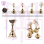 Set 5 Đế Cờ Giá Đỡ Mary Artistry Gắn Móng Mẫu Giả Tập Sơn Vẽ Làm Nailbox - Nhiều Mẫu Đế