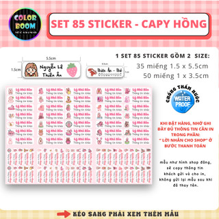 [ IN TÊN THEO YÊU CẦU] Set 85 Sticker Dán Đồ Dùng Cho Bé - MẪU CAPYBARA Hottrend - Colorboomshop