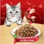 Hạt Cho Mèo Silver Spoon Unicharm Đủ Vị Gà Cá Ngừ Và Dòng Giảm Nôn Trớ