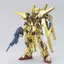 Mô Hình Lắp Ráp HG SEED 40 Oowashi Akatsuki Gundam (New Seal)
