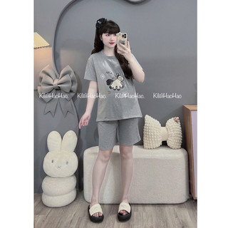 Bộ bầu - bộ sau sinh - BỘ ĐÙI COTTONG IN HÌNH NGỰA - 5 Màu, Quần Có Chun Chỉnh