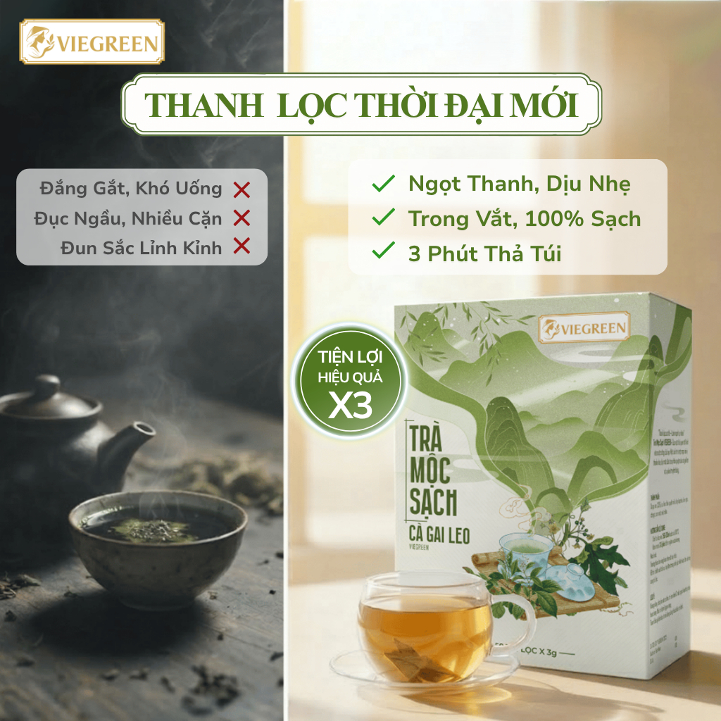 Trà Túi Lọc Cà Gai Leo VIEGREEN (Hộp 50 Túi) - Thảo Mộc Thanh Nhiệt, Thanh Lọc Cơ Thể, Mát Lành