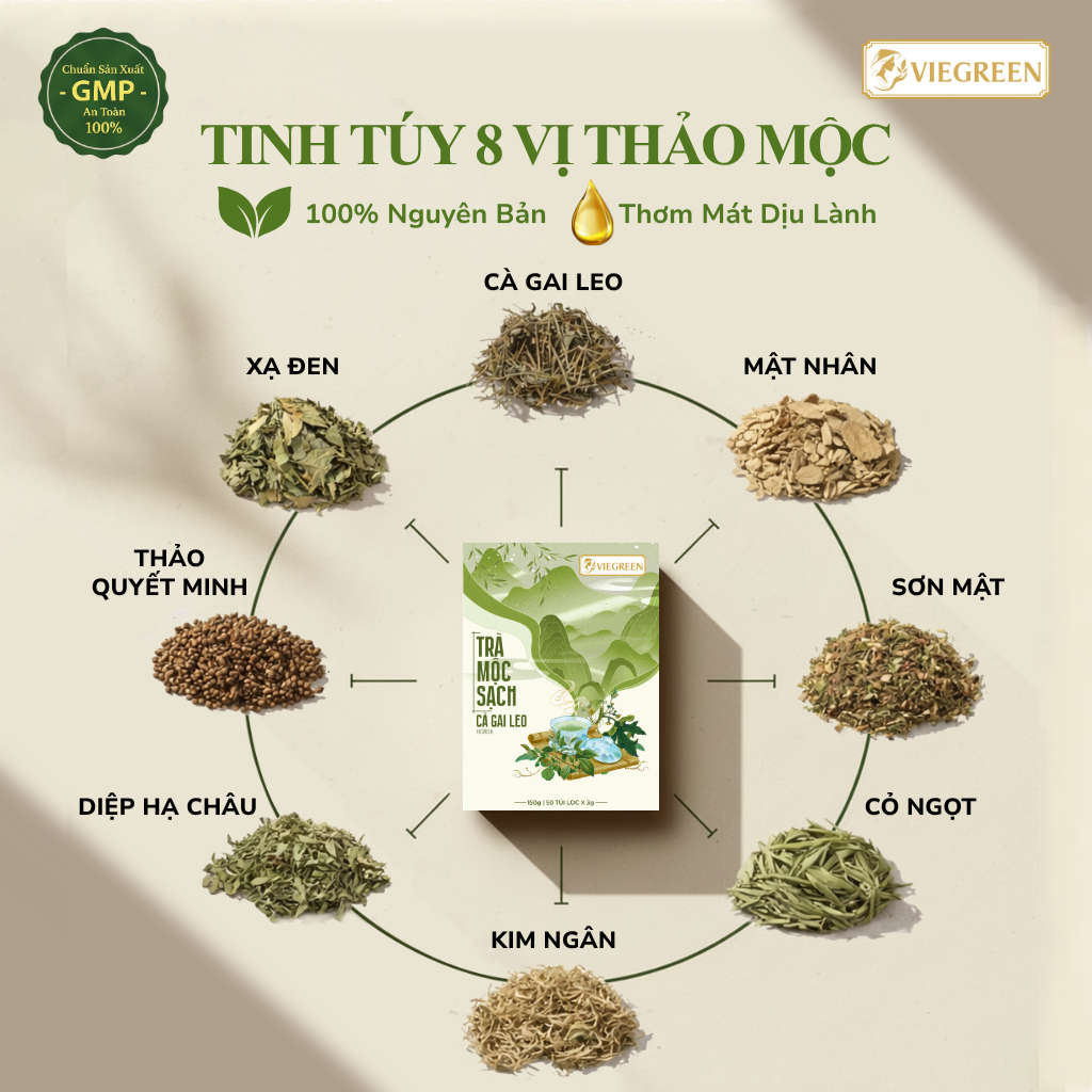 Trà Túi Lọc Cà Gai Leo VIEGREEN (Hộp 50 Túi) - Thảo Mộc Thanh Nhiệt, Thanh Lọc Cơ Thể, Mát Lành