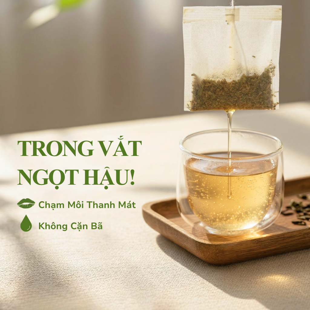 Trà Túi Lọc Cà Gai Leo VIEGREEN (Hộp 50 Túi) - Thảo Mộc Thanh Nhiệt, Thanh Lọc Cơ Thể, Mát Lành