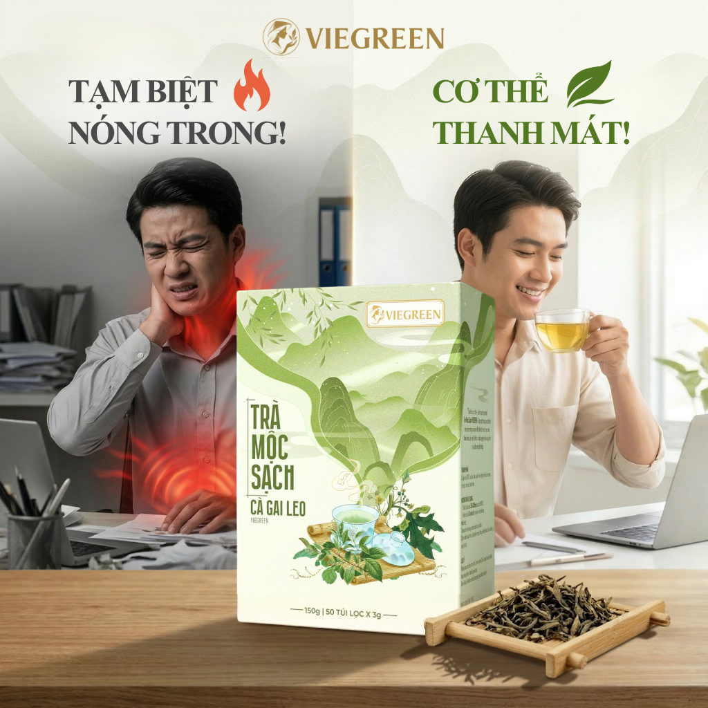 Trà Túi Lọc Cà Gai Leo VIEGREEN (Hộp 50 Túi) - Thảo Mộc Thanh Nhiệt, Thanh Lọc Cơ Thể, Mát Lành