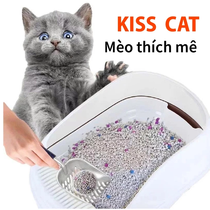 Cat Litter – 7