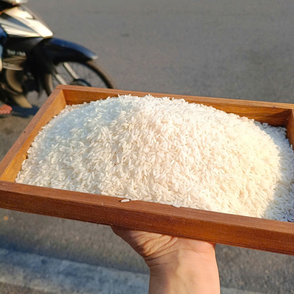 Gạo Thơm Bồ Câu ( lúa mới ) xát mộc, KHÔNG CHÀ BÓNG - dẻo dai, mềm, ngọt cơm, thơm mùi gạo mới