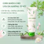Sữa rửa mặt thảo dược RIORI HANA pH 5.5 dung tích 120g phù hợp với mọi loại da