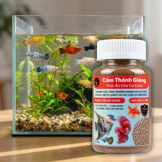 Thức Ăn Cao Cấp 80gr Cho Cá Cảnh - Cám Thánh Gióng Đạm Cao Viên Nổi Siêu Nhỏ