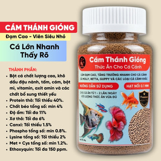 Thức Ăn Cao Cấp 80gr Cho Cá Cảnh - Cám Thánh Gióng Đạm Cao Viên Nổi Siêu Nhỏ