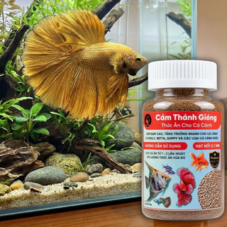Thức Ăn Cao Cấp 80gr Cho Cá Cảnh - Cám Thánh Gióng Đạm Cao Viên Nổi Siêu Nhỏ