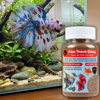 Thức Ăn Cao Cấp 80gr Cho Cá Cảnh - Cám Thánh Gióng Đạm Cao Viên Nổi Siêu Nhỏ