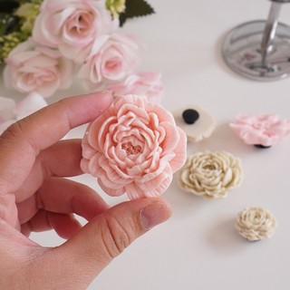 Bộ 8 Sticker, Charm 3D chủ đề Hoa trà nhựa cứng gắn Dép Sục, Cá sấu JB-444 Mita