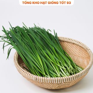Hạt giống hẹ cao sản - hàng công ty Loại 1