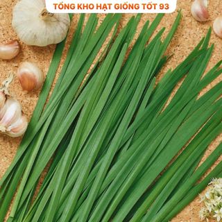 Hạt giống hẹ cao sản - hàng công ty Loại 1