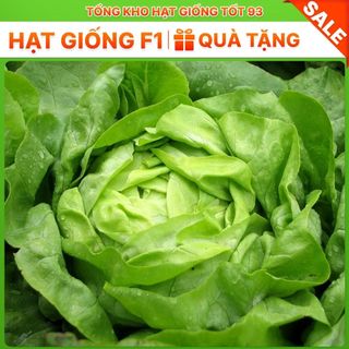 Hạt giống rau xà lách búp đăm gói 2gram hàng công ty